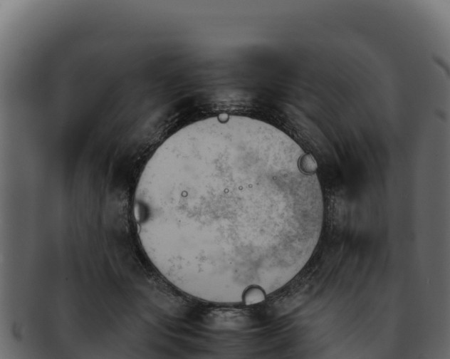 X0000092290557200710041431