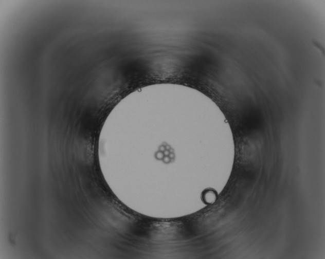 X0000092290558200710041431