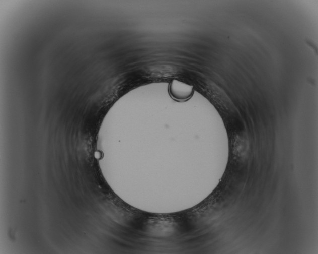 X0000092290559200710041431