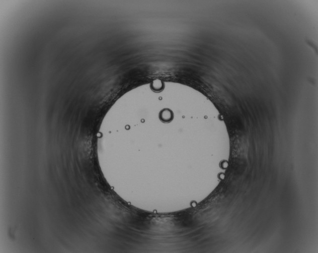 X0000092290560200710041431