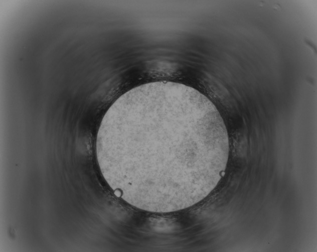 X0000092290561200710041431