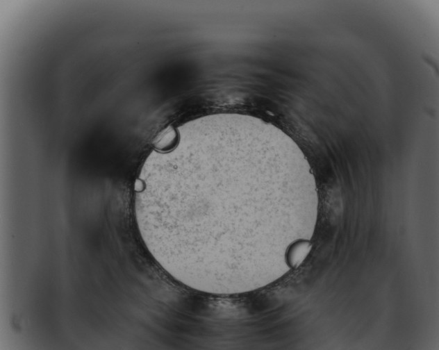 X0000092290565200710041431