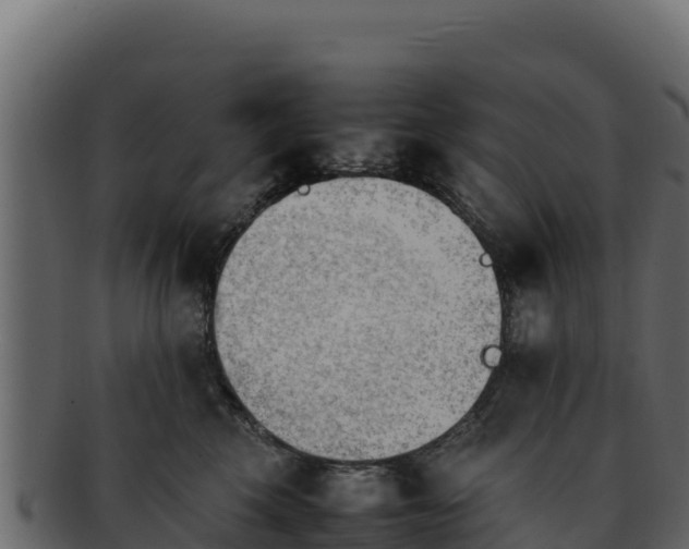 X0000092290569200710041431