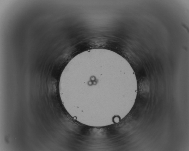 X0000092290570200710041431