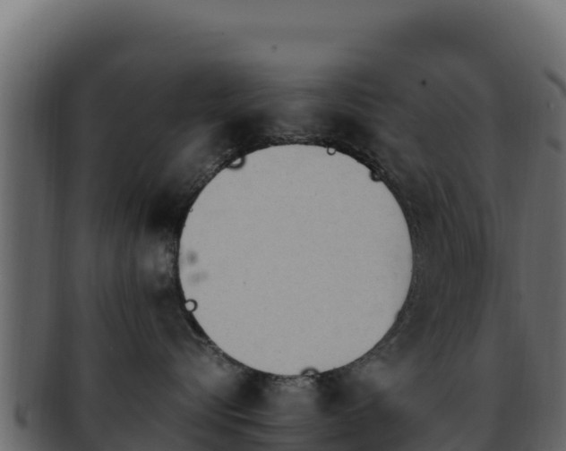 X0000092290576200710041431