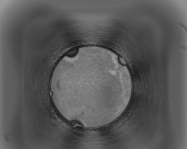 X0000092290577200710041431