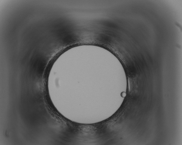 X0000092290579200710041431