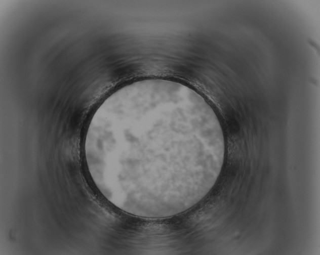 X0000092290581200710041431