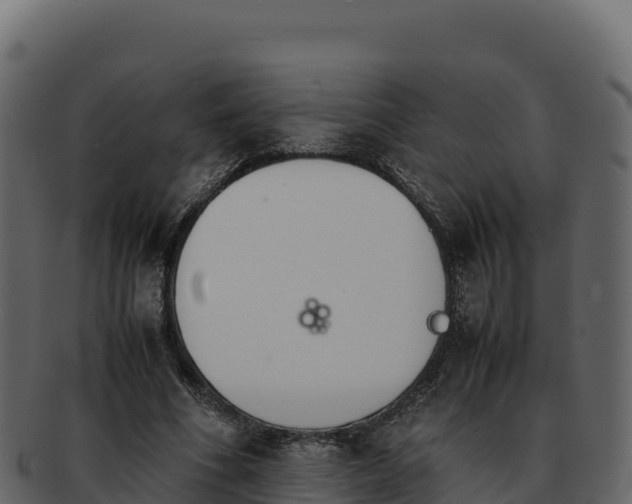 X0000092290586200710041431