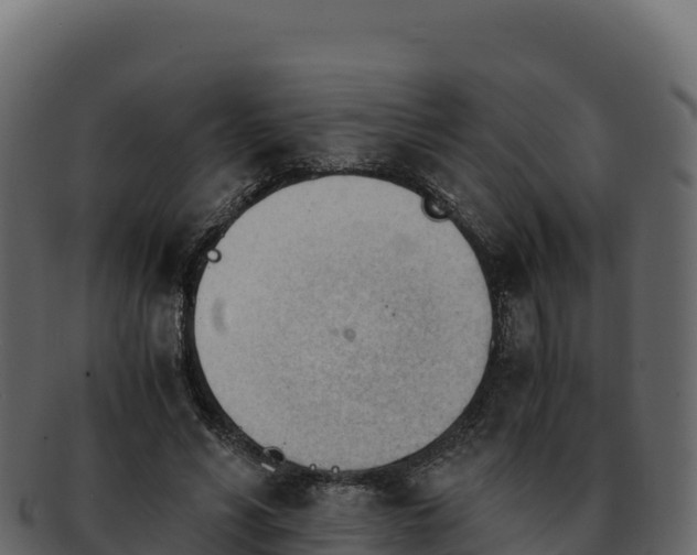 X0000092290590200710041431