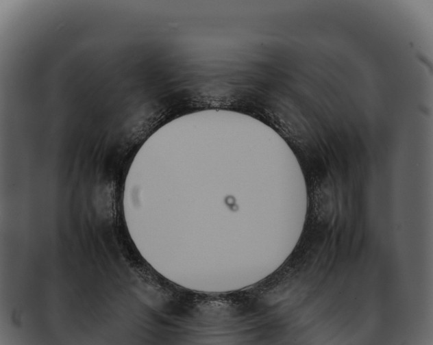 X0000092290594200710041430