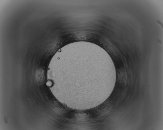 X0000092290598200710041430