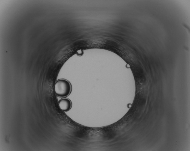 X0000092290599200710041430