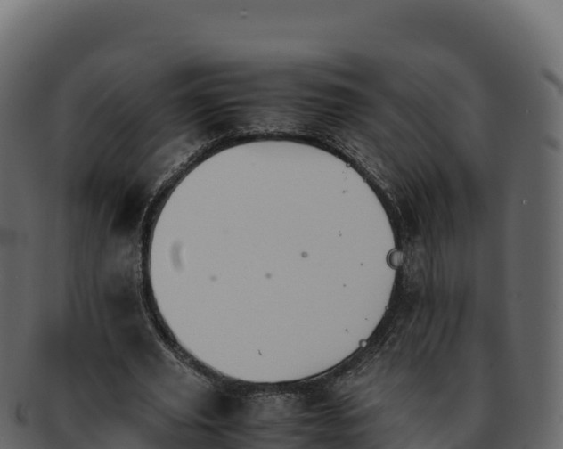 X0000092290629200710041430