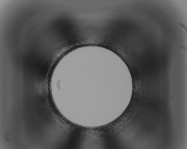 X0000092290632200710041430