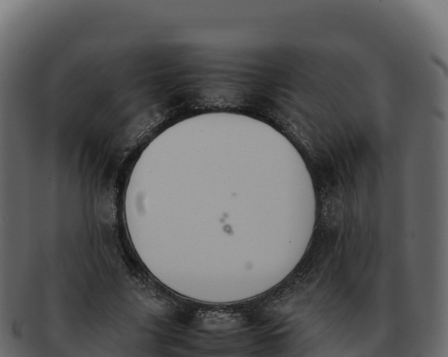 X0000092290635200710041430