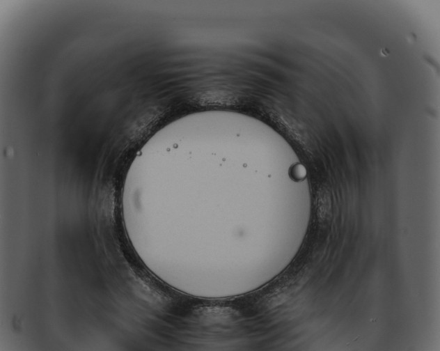 X0000092290637200710041430