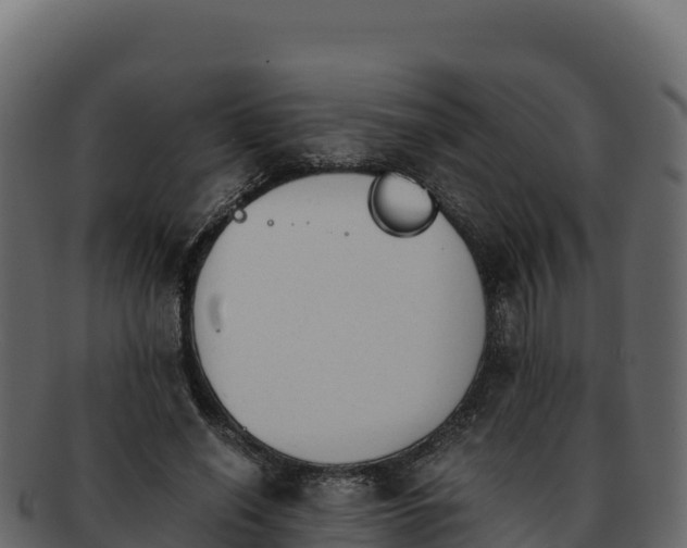 X0000092290638200710041430