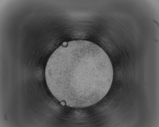 X0000092290641200710041430