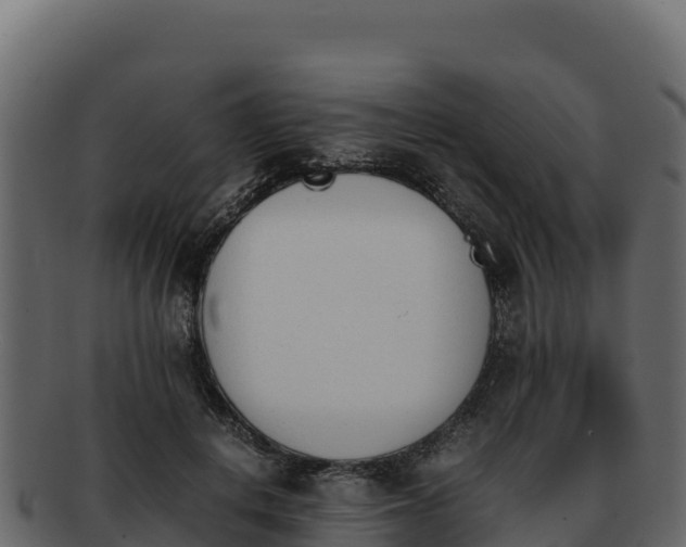 X0000092290648200710041430