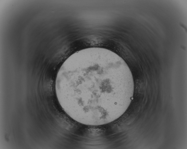 X0000092290650200710041430