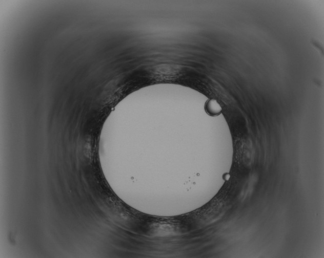 X0000092290655200710041430