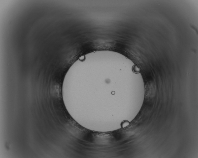 X0000092290669200710041430