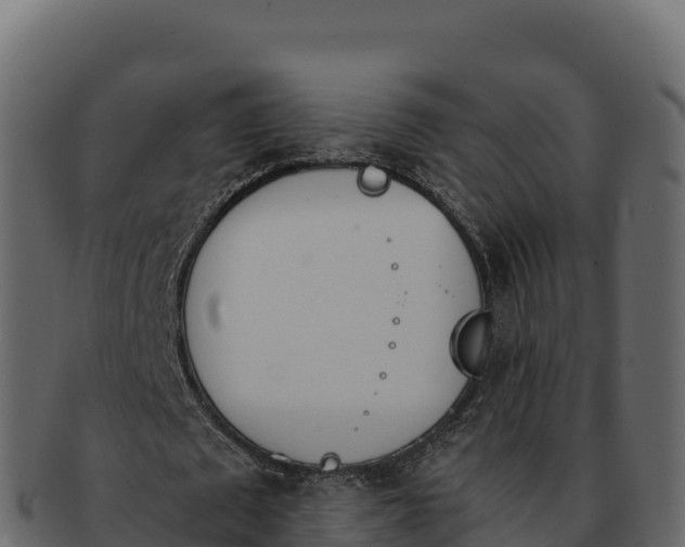 X0000092290673200710041430