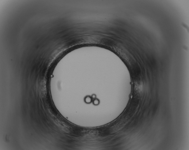 X0000092290676200710041430