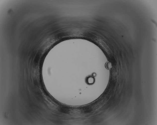 X0000092290677200710041430