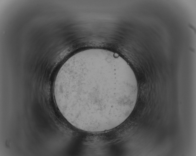 X0000092290679200710041429