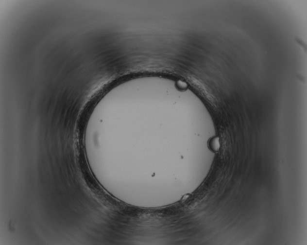 X0000092290680200710041429