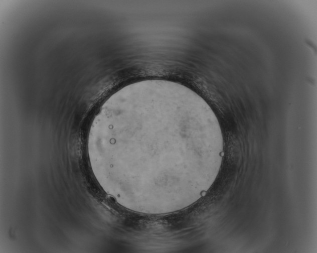 X0000092290683200710041429