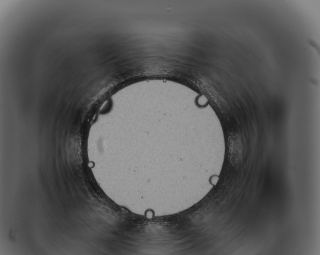 X0000092290684200710041429