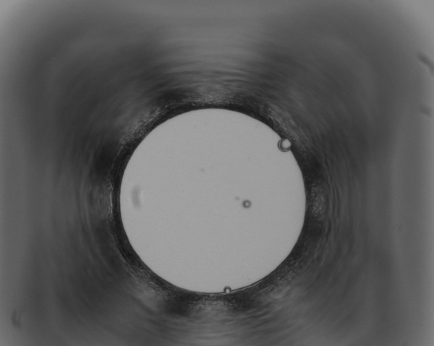 X0000092290685200710041429