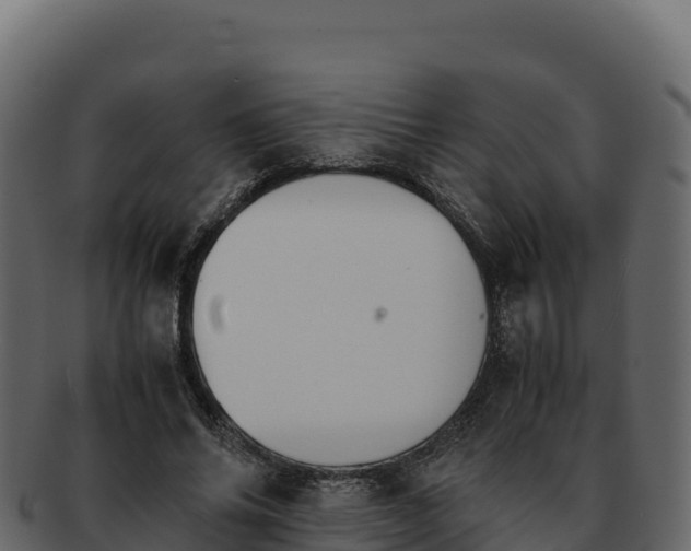 X0000092290686200710041429