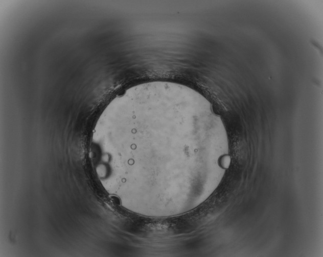 X0000092290687200710041429