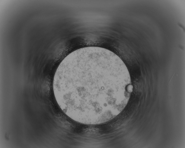 X0000092290691200710041429