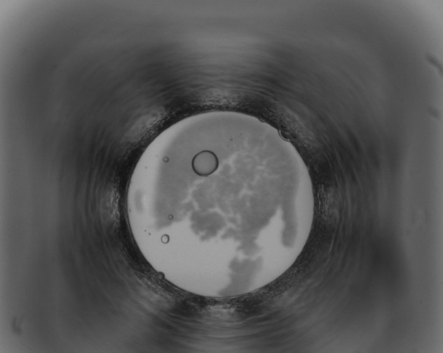 X0000092290692200710041429