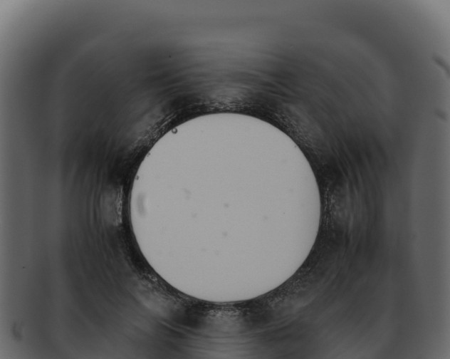 X0000092290694200710041429