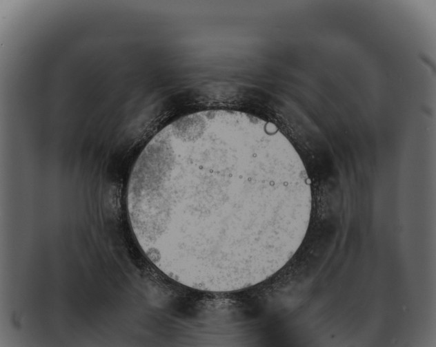 X0000092290695200710041429