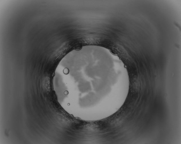 X0000092290696200710041429