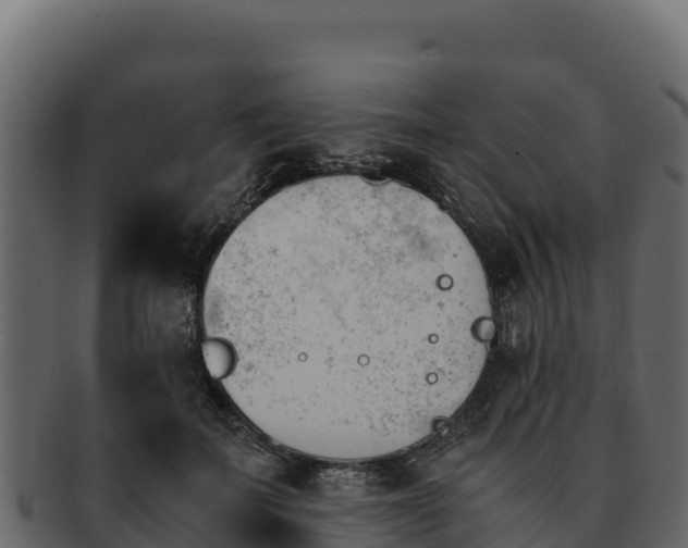 X0000092290699200710041429