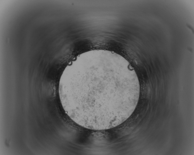 X0000092290703200710041429