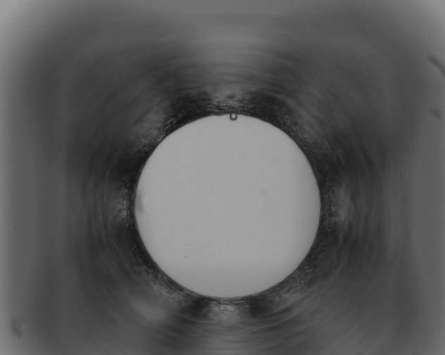 X0000092290706200710041429