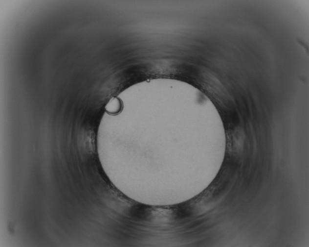 X0000092290718200710041429