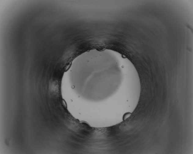 X0000092290720200710041429