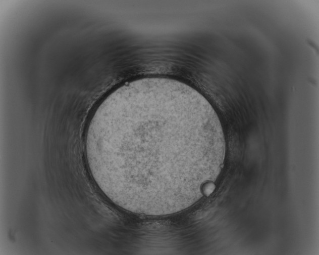 X0000092290721200710041428