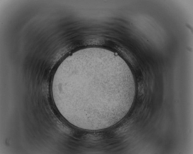 X0000092290725200710041428