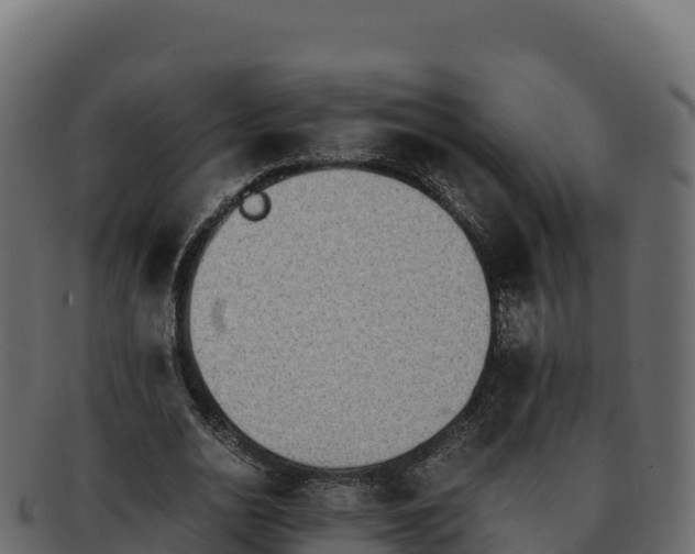 X0000092290726200710041429